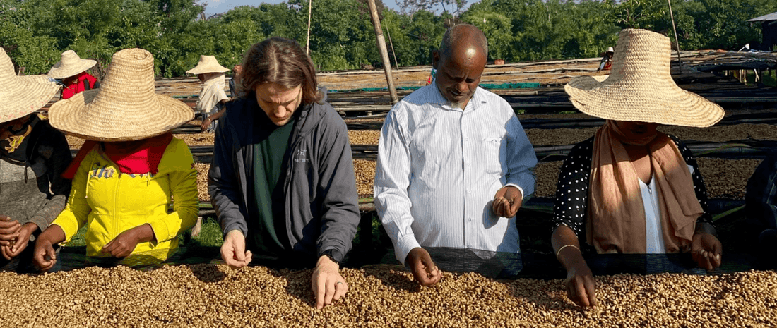 Origin Update Ethiopia: Visiting our Farm Partners - THE BARN Coffee Roasters Berlin