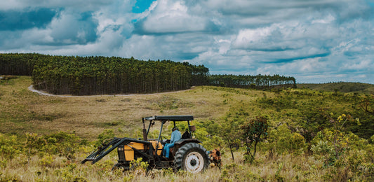 Sustainability - THE BARN Coffee Roasters Berlin