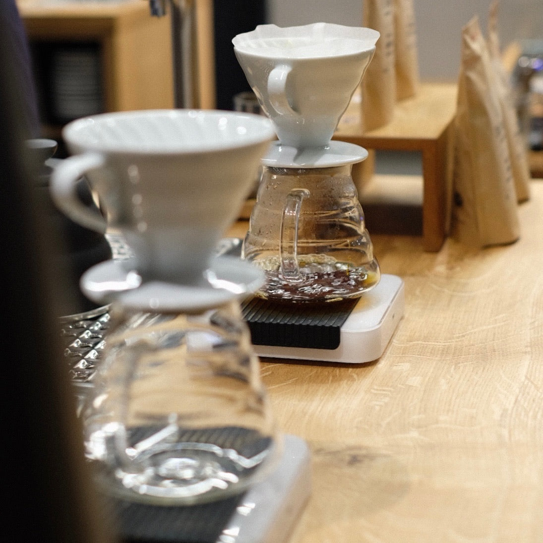 JARDINES DEL EDEN PAPAYO