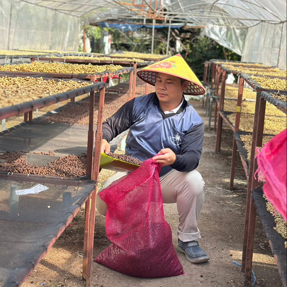 Person working with plants in a greenhouse setting