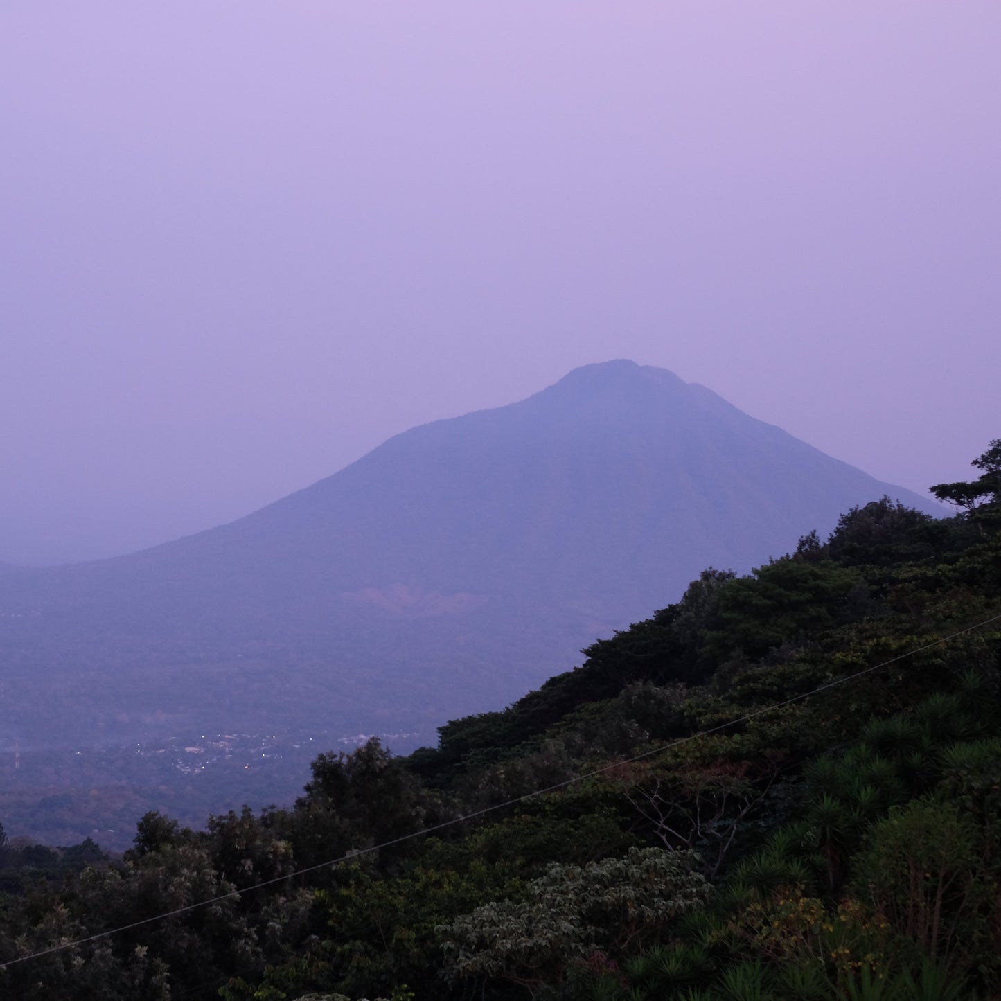 LOS PIRINEOS BOURBON