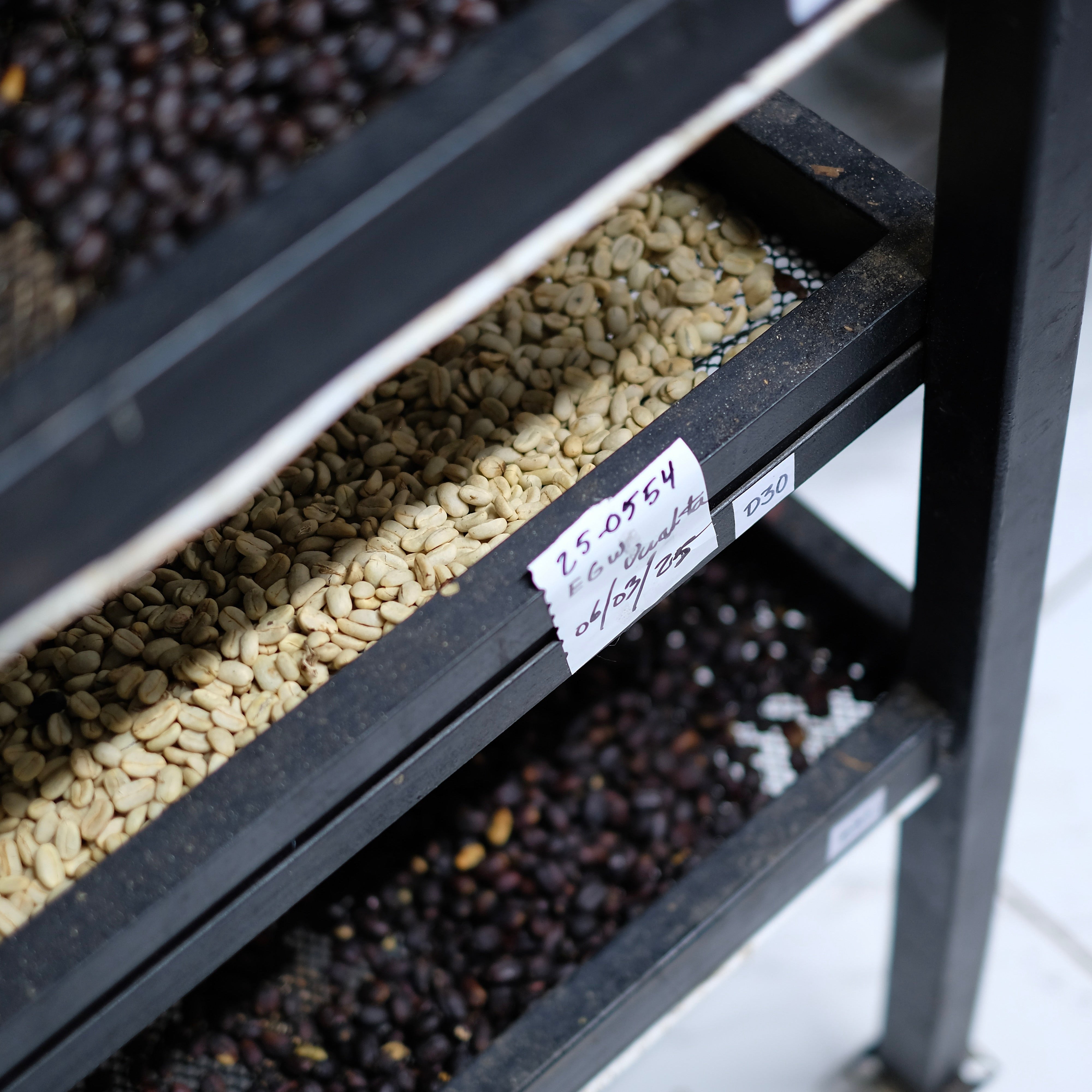 Three shelves with different types of coffee beans on a white floor.