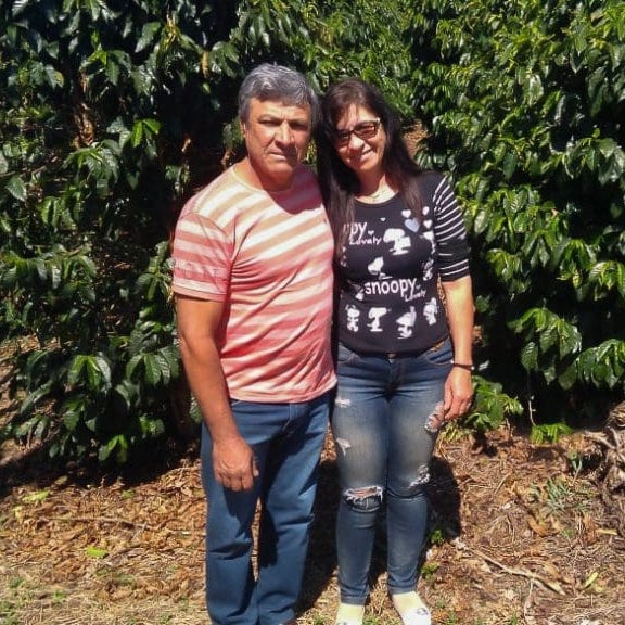Two people standing in front of coffee plants