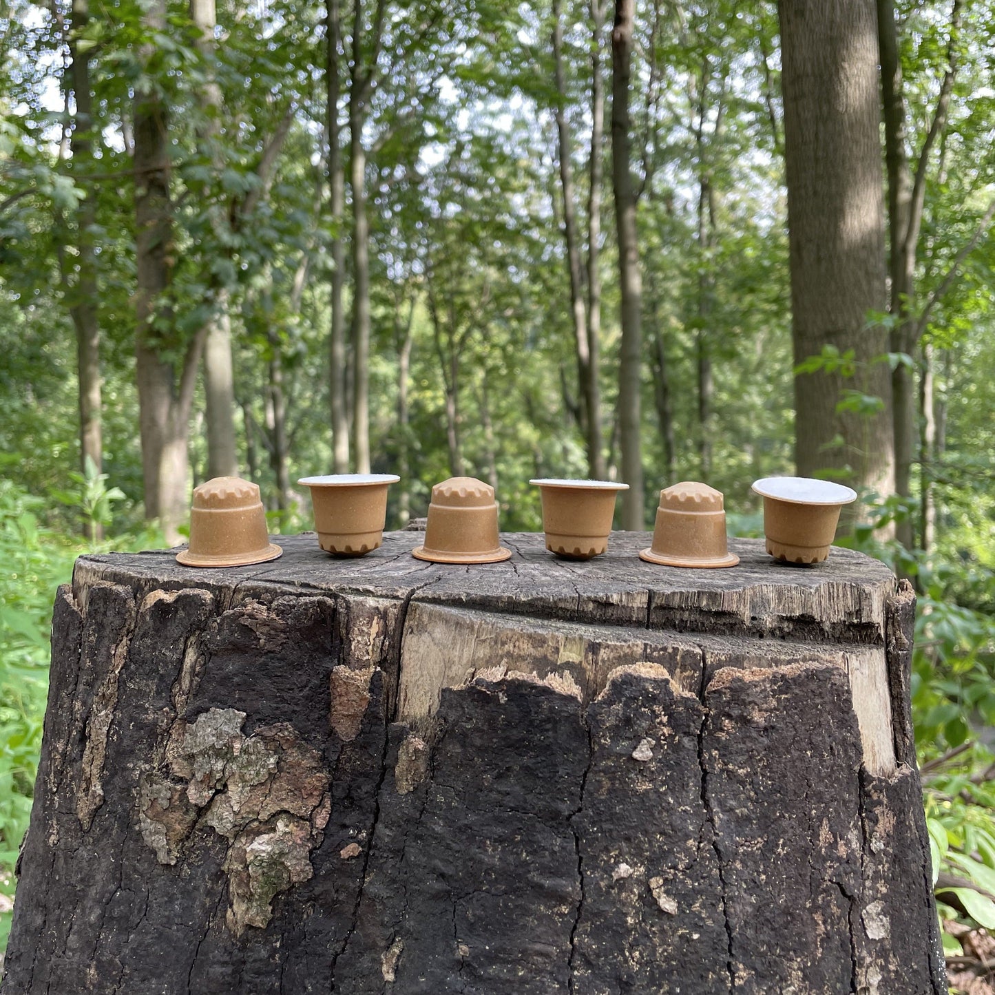 COFFEE CAPSULES SUBSCRIPTION