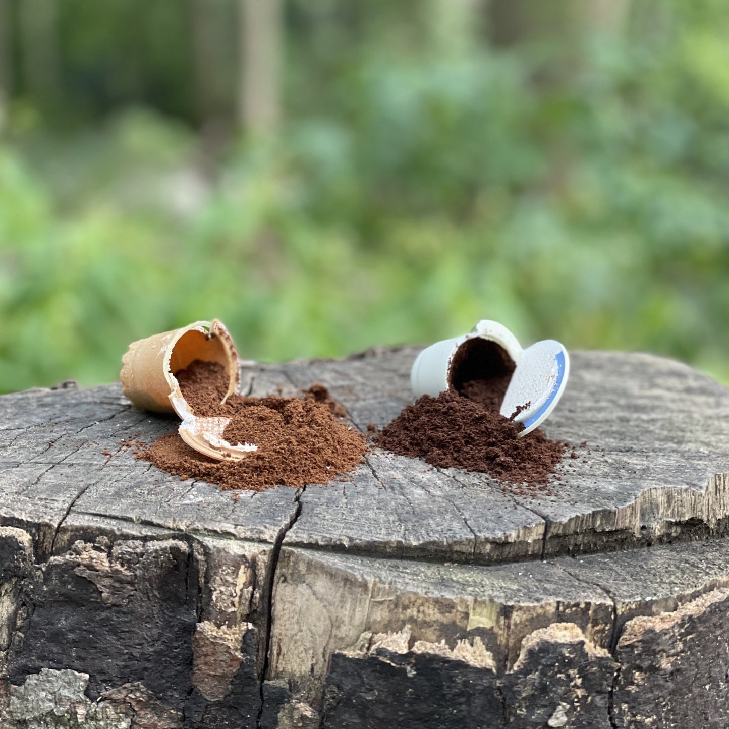 COFFEE CAPSULES SUBSCRIPTION