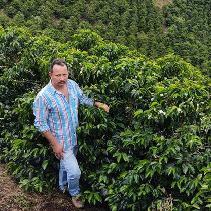 LA PIRAGUA