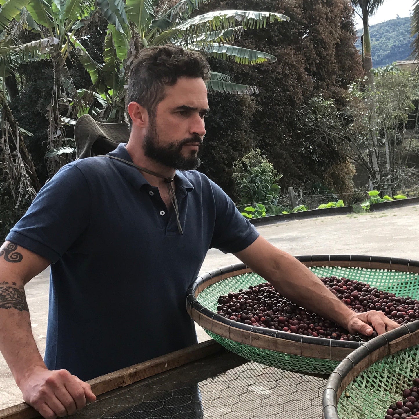 NINHO DA AGUIA (4661974007888)