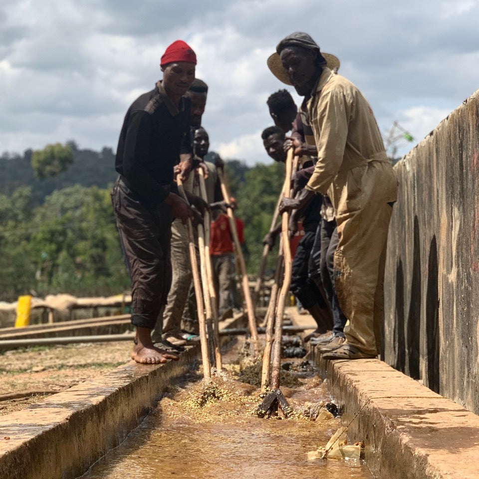 The washing process at Nano Challa