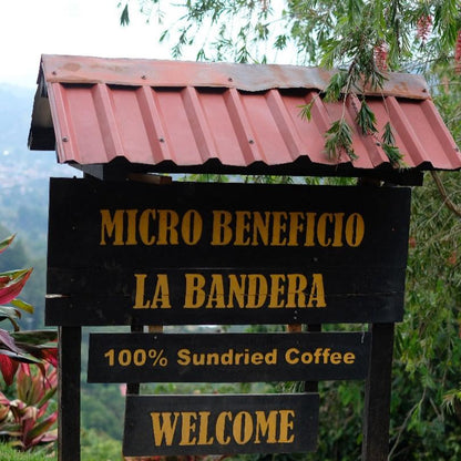 LA BANDERA TYPICA
