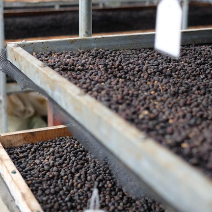 LA BANDERA TYPICA