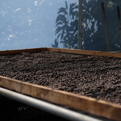 LA BANDERA TYPICA