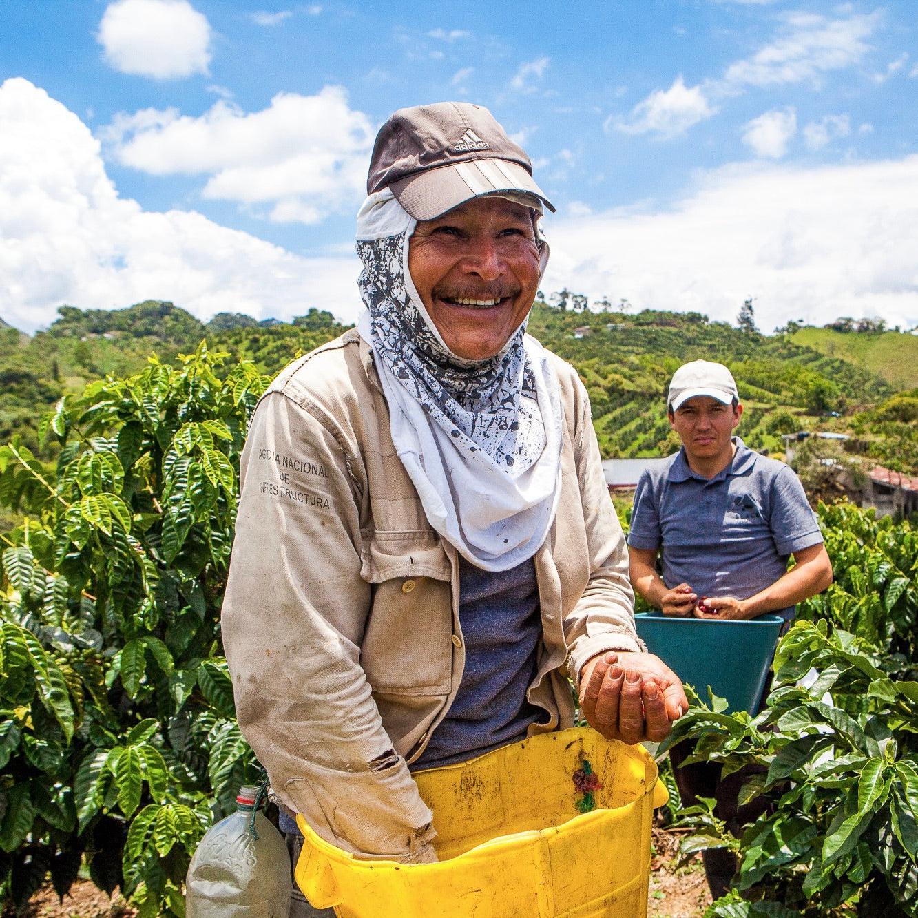 Picking coffee at El Vergel