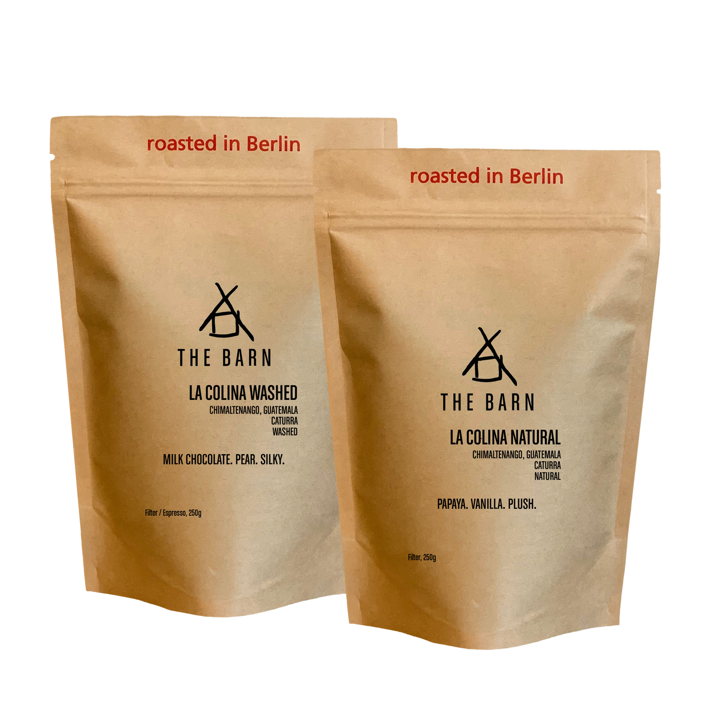 GUATEMALA TWIN BOX