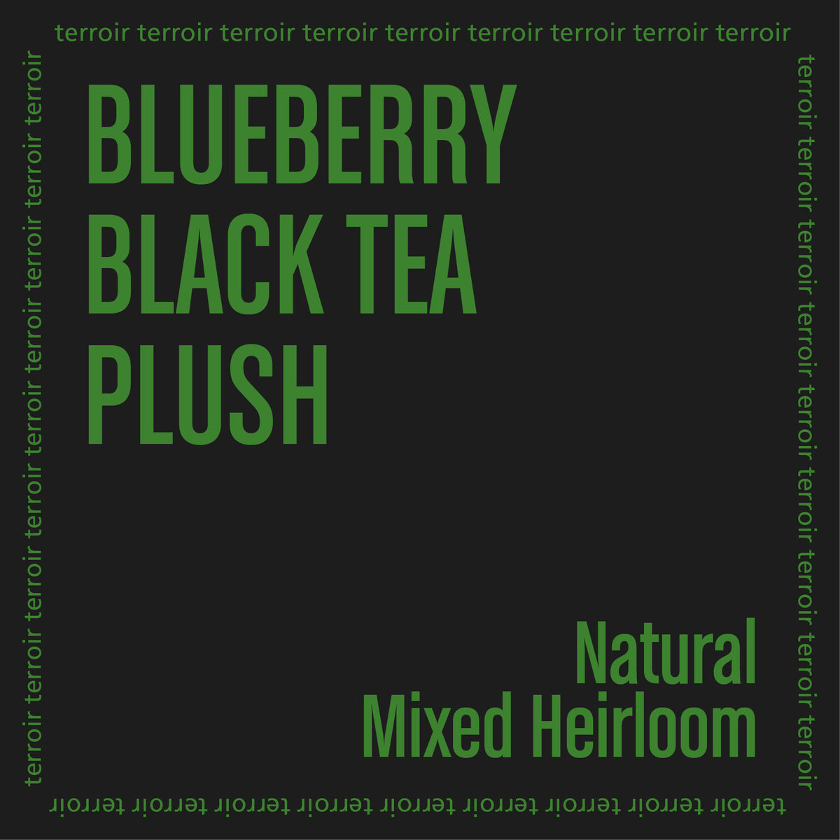 MOHAMED ALI