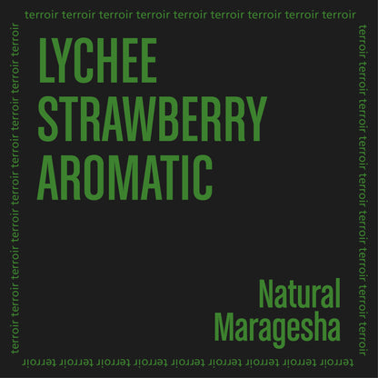 JARDINES DEL EDEN MARAGESHA