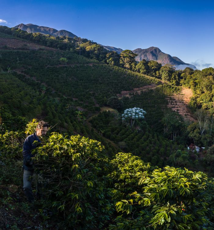 Clayton Barrossa at Ninho