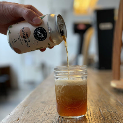 ROY COFFEE KOMBUCHA (6585141297232)